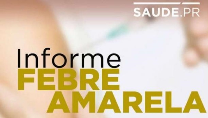 Paraná registra mais 74 mortes de macacos por febre amarela