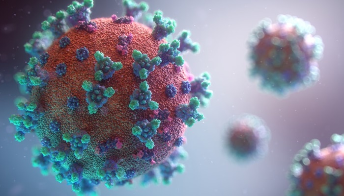 Boa Vista da Aparecida tem primeiro caso confirmado de Coronavírus