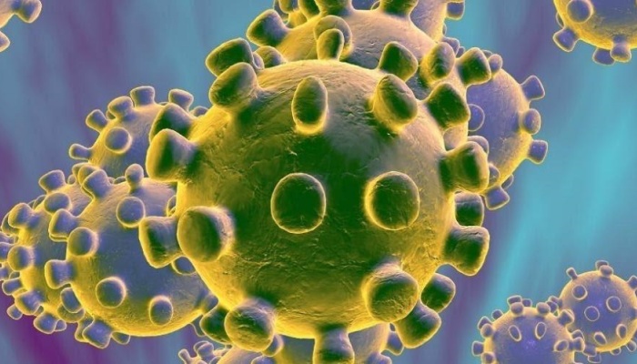 Paraná tem duas novas mortes por coronavírus e número de casos sobe para 1271