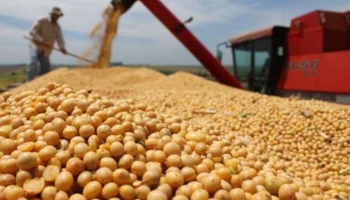 Previsão da safra de grãos cai, mas ainda é recorde, aponta Conab