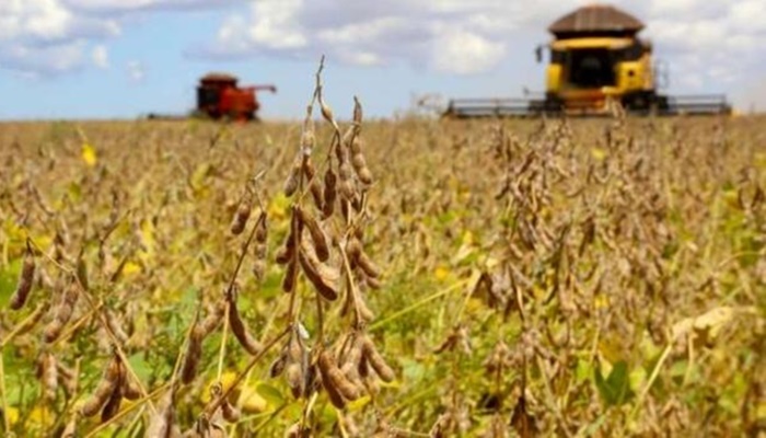 Paraná estima safra de grãos acima de 40 milhões de toneladas