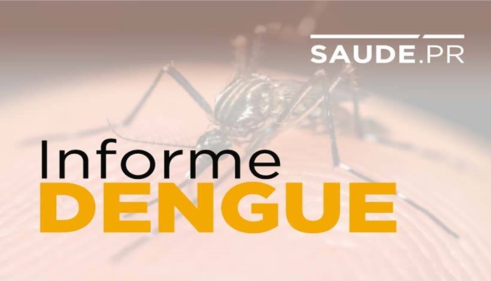 No Paraná, dengue tem queda no número de notificações