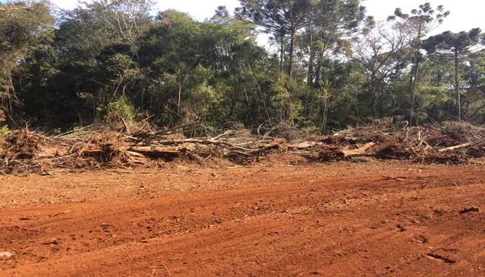 Proprietário de área é multado em 47 mil por destruição de mata nativa e de preservação em Corbélia