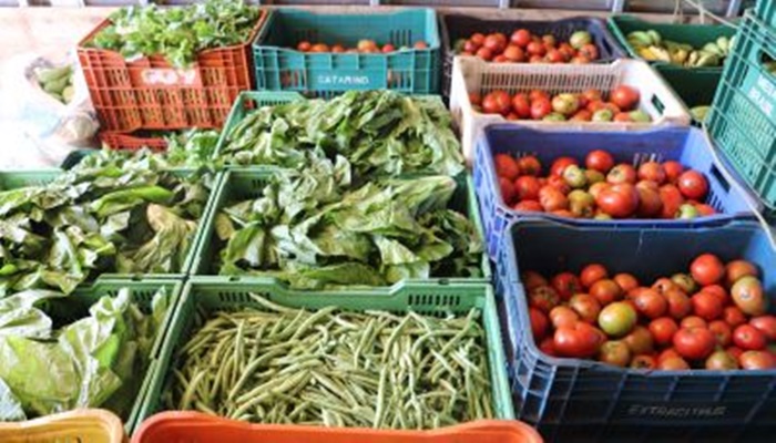 Candói - Agricultura familiar: Educação adquire alimentos dos produtores rurais