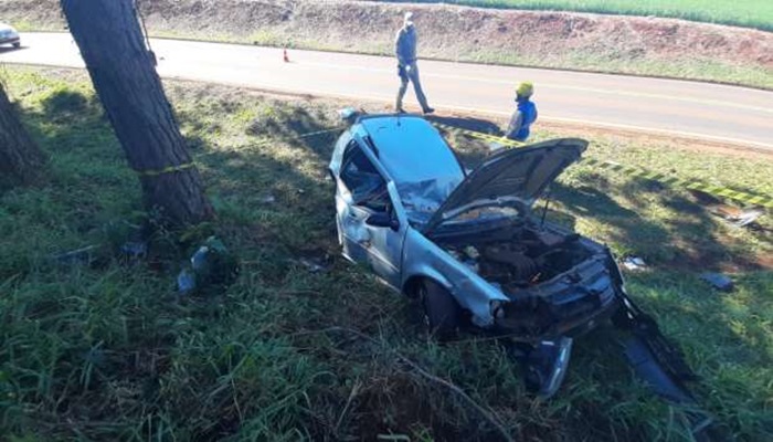 Jovem morador de Juvinópolis morre após colidir carro contra árvore 