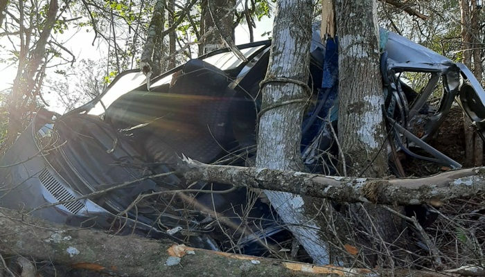 Quedas - Motorista perde após colidir carro contra árvores na PR 473 