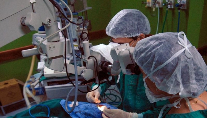 Saúde abre consulta pública sobre protocolo de transplante de rim