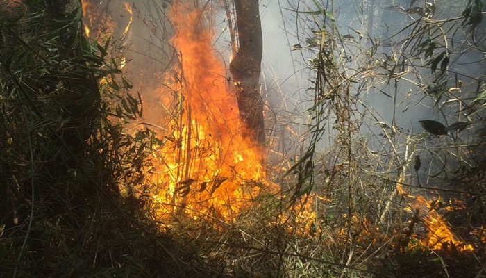 Bombeiros combatem há dois dias incêndio na Serra dos Órgãos