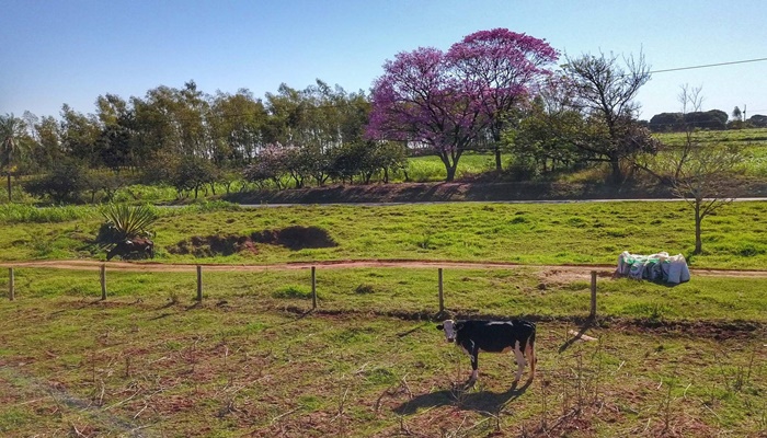 Em seis meses, regularização fundiária alcança 1.600 famílias no Paraná