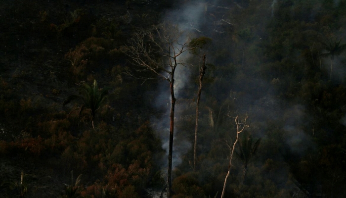 Ministério confirma recursos para combate a desmatamento na Amazônia