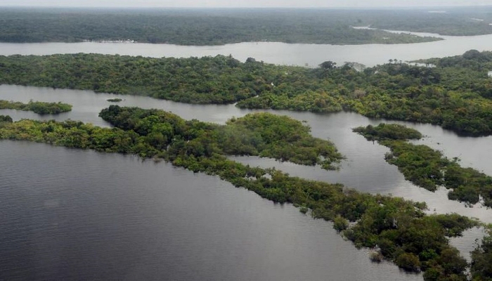 Dia da Amazônia: mulheres agricultoras falam sobre preservação