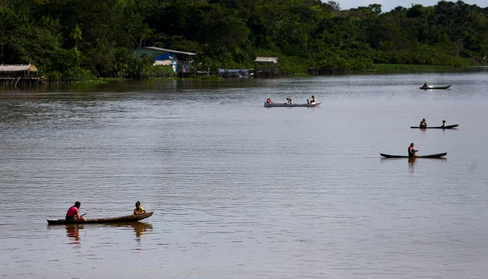 Pesquisa estuda a biodiversidade nos ecossistemas de água doce
