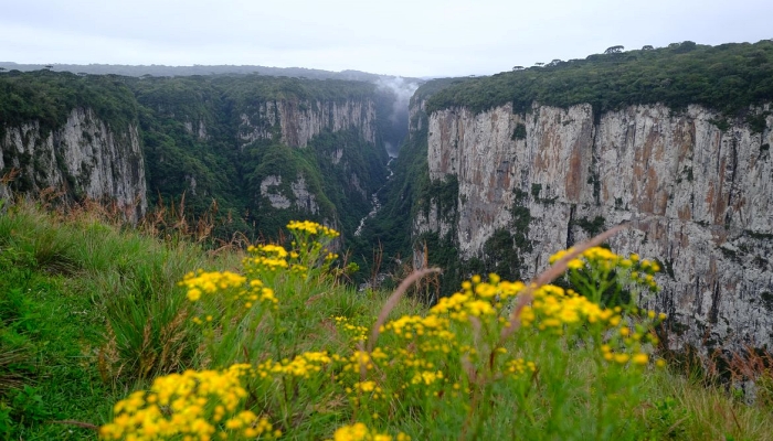 Governo lança edital para concessão de parques nacionais