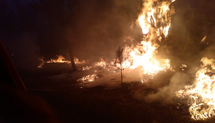 Guaraniaçu - Bombeiros combatem incêndio de grandes proporções 