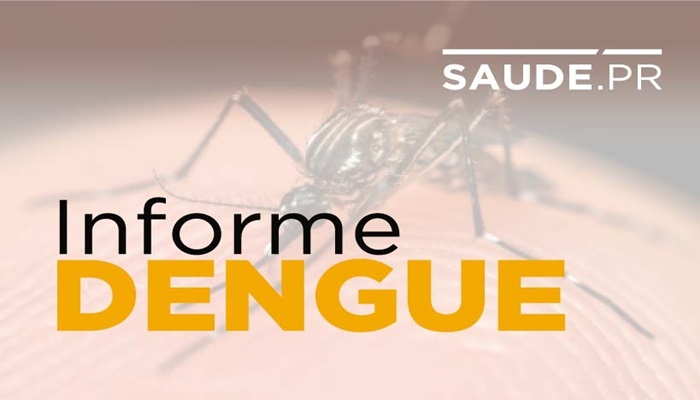 Boletim da Dengue registra 102 novos casos no Estado