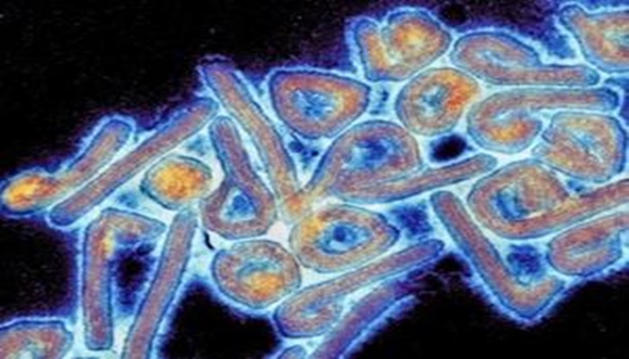 O que se sabe sobre o novo vírus que matou 3 pessoas na Bolívia