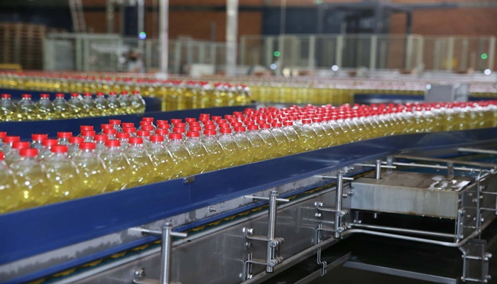 Do óleo às farinhas: como a produção de grãos chega à mesa do consumidor