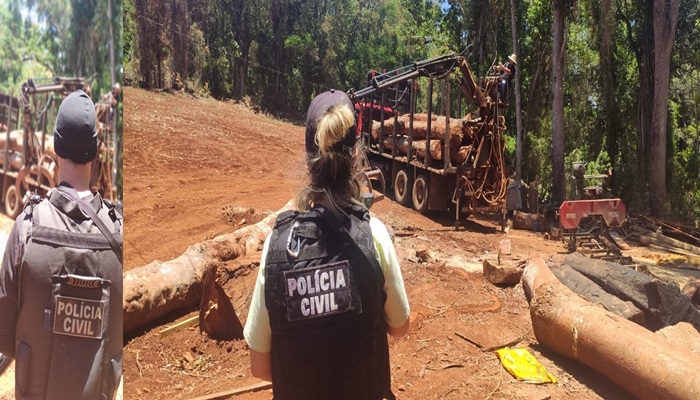 Quedas - Polícia Civil combate Crimes Ambientais e apreende madeiras nativas
