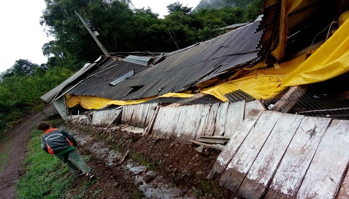 Guaraniaçu - Barracão do Bicho da Seda é destruído pelo temporal 
