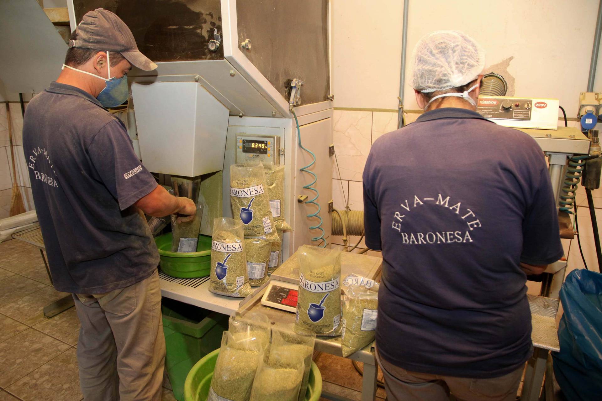 Após selo de procedência, erva-mate especial do Paraná começa a ganhar o mundo