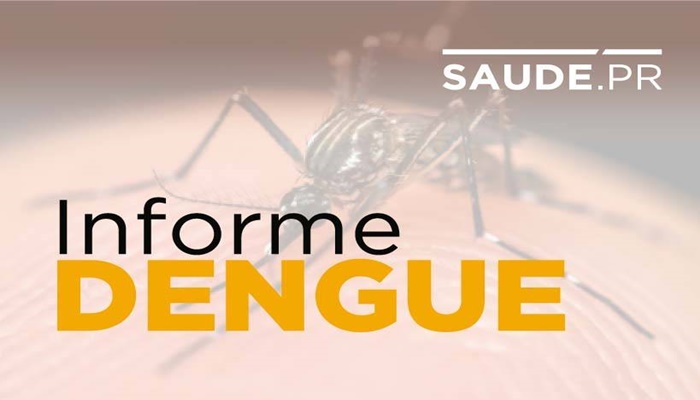 Saúde alerta que casos de dengue podem aumentar no Verão