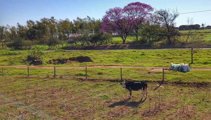 Regularização fundiária alcança mais de 1,2 mil pequenos produtores