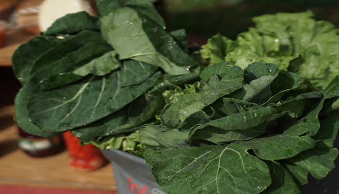 Pesquisa aponta impacto de compra da agricultura familiar durante a pandemia