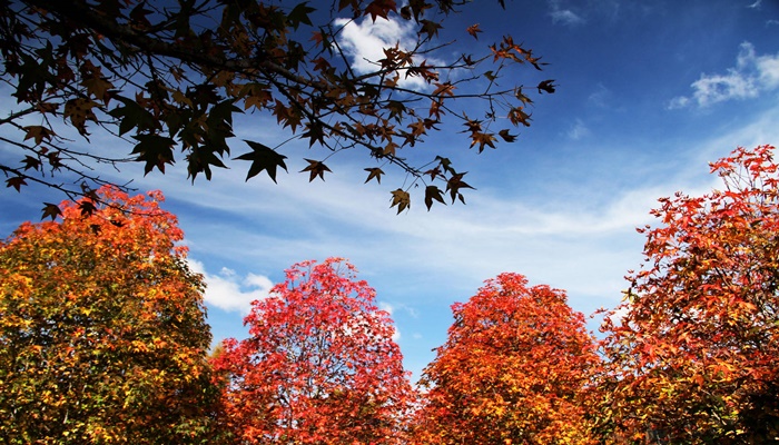 Outono começa abafado e com chuva em algumas regiões do Estado