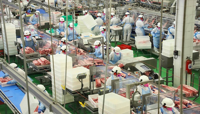 Estado ampliou a produção e o protagonismo na cadeia de carnes em 2020