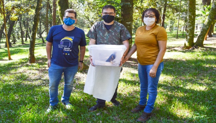 Clínica Veterinária da Univel realiza parceria com IAT - Instituto Água e Terra 