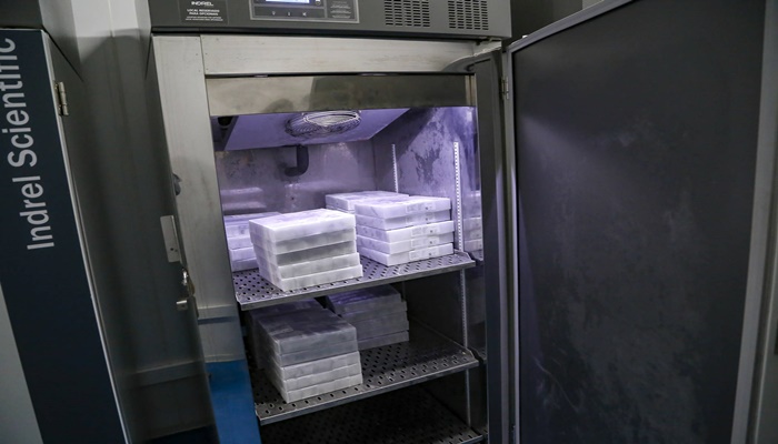 Vacinas da Pfizer serão distribuídas nesta segunda; veja divisão nos nove municípios