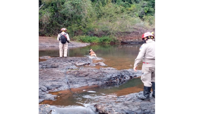 Bombeiros intensificam buscas por homem desaparecido no Parque Nacional do Iguaçu
