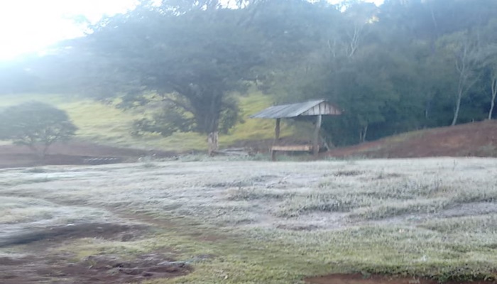 Cantu - Mais um amanhecer gelado no Paraná. Moradores da região da Cantu registraram em fotos a formação de geadas