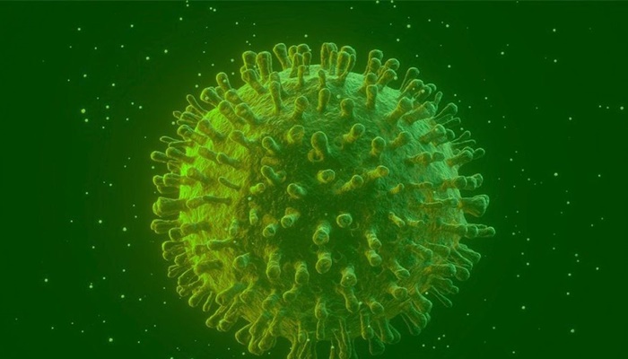 Covid-19: estudo diz que infectados podem gerar anticorpos permanentes