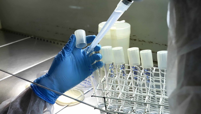 Governo destina R$ 14,4 milhões a bolsas de estudo para iniciação científica