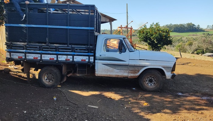 Rio Bonito - Morador cai em golpe de anúncio de camionete furtada em Toledo
