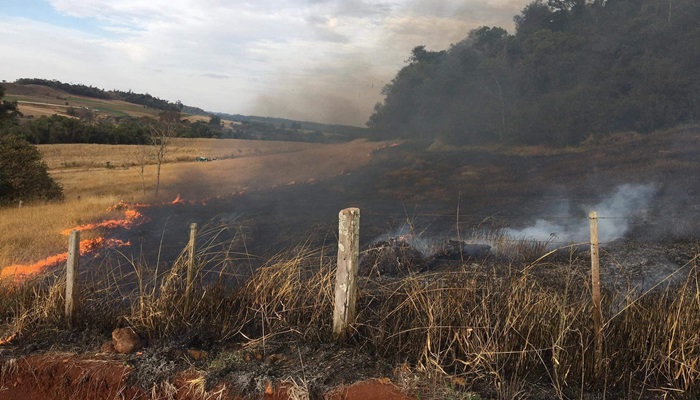 Três Barras - Polícia Ambiental multa agricultor que ateou fogo em pastagem sem autorização 