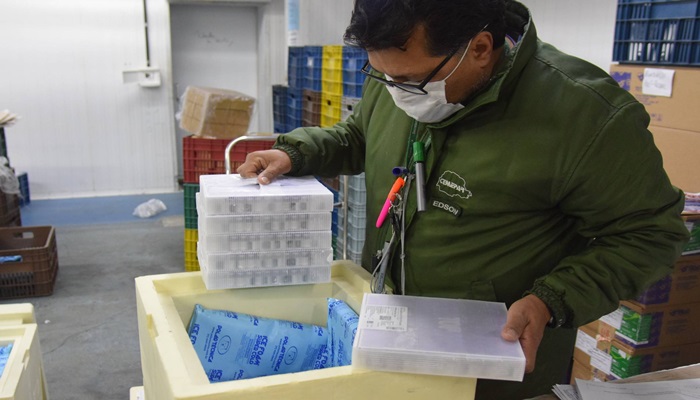 Lote com 114 mil vacinas contra a Covid-19 chega ao PR; distribuição começa nesta quinta