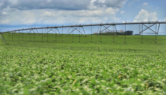 Ministério atende reivindicação do Paraná e altera calendário de plantio de soja na safra 2021/22