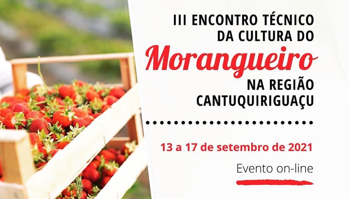 Laranjeiras - 3º Encontro Técnico da Cultura do Morango acontece de 13 a 17 de setembro