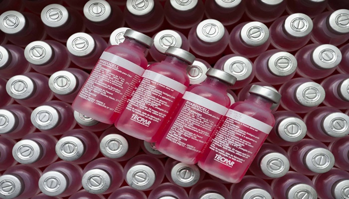 Com alta tecnologia, Tecpar produzirá 19 milhões de vacinas antirrábicas veterinárias em 2021