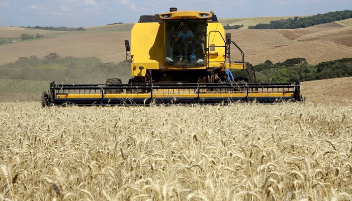 Mesmo com dias chuvosos das últimas semanas, colheita do trigo avança no Paraná