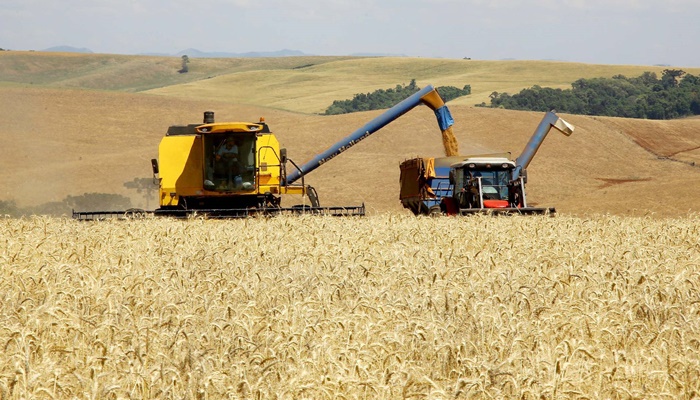 No Paraná, trigo chega à reta final da colheita com preços em alta