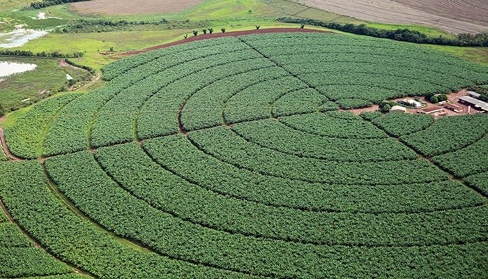 Governo quer aumentar ações de promoção do agro brasileiro no exterior