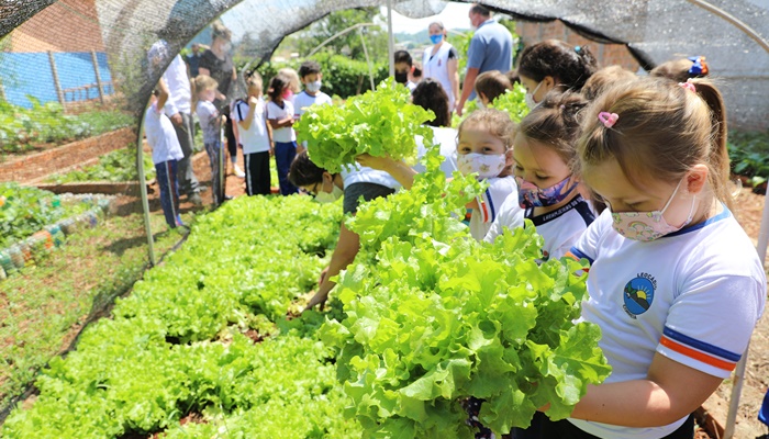 Laranjeiras – Alunos colhem saúde nas hortas das escolas municipais
