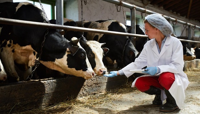 Campanha mundial alerta para os cuidados no uso de antimicrobianos