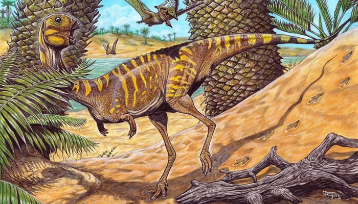 Museu Nacional anuncia descoberta de nova espécie de dinossauro brasileiro