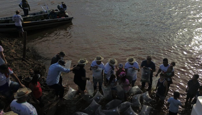 No Dia do Rio, Paraná destaca soltura de 2,6 milhões de peixes e proteção de nascentes
