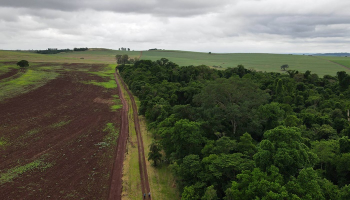 Em live, Governo destaca políticas para criação de reservas particulares de proteção natural