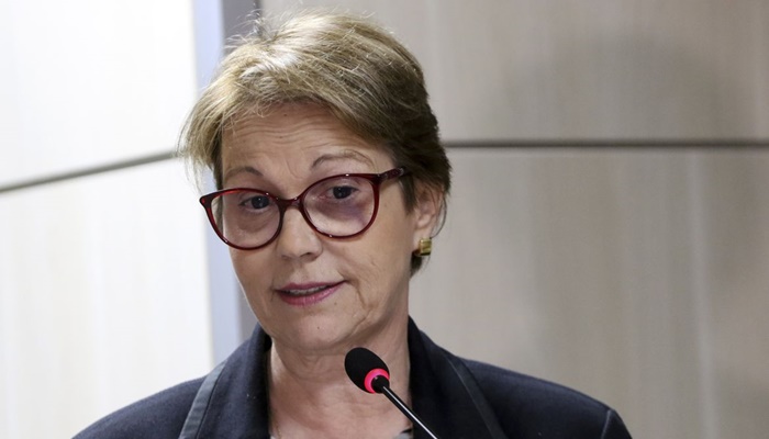 Pecuária tem papel fundamental na agenda climática mundial, diz ministra 